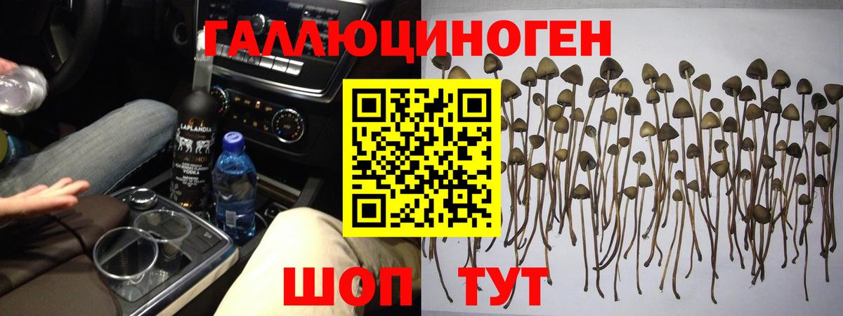 Псилоцибиновые грибы мухоморы Сыктывкар